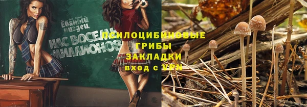 Альфа ПВП Волоколамск