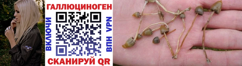 Псилоцибиновые грибы Magic Shrooms  Купить где  Карпинск 