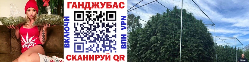 Канабис планчик  Купить закладки  Карпинск 
